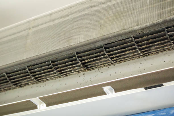 Best HVAC Air Duct Cleaning  in Lauderhill, FL